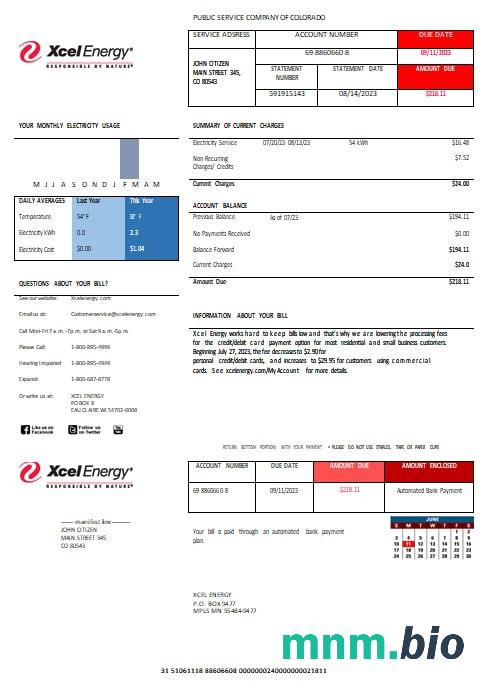 USA XcelEnergy electric rachunek za media formaty Word i PDF